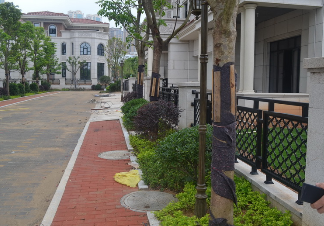 花園小區(qū)井蓋案例